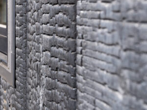 焼杉を取り入れた外壁